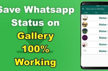save-WhatsApp-status-on-gallery